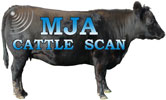 MJA Logo